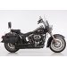 Sort,Harley Davidson Softail Custom,2010