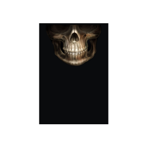 MC Ansigtsmaske med Silikonepad p Nsen - Monkey